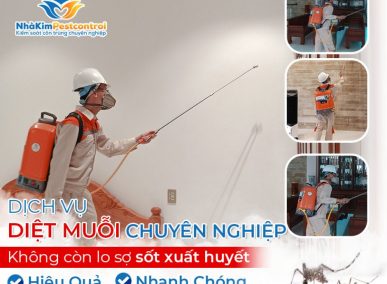 Dịch vụ phun muỗi tại Quảng Ngãi | Nhà Kim Pestcontrol